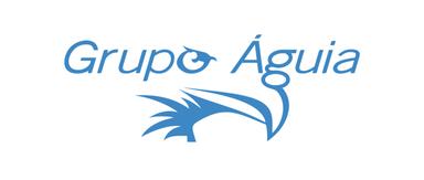 Grupo Águia